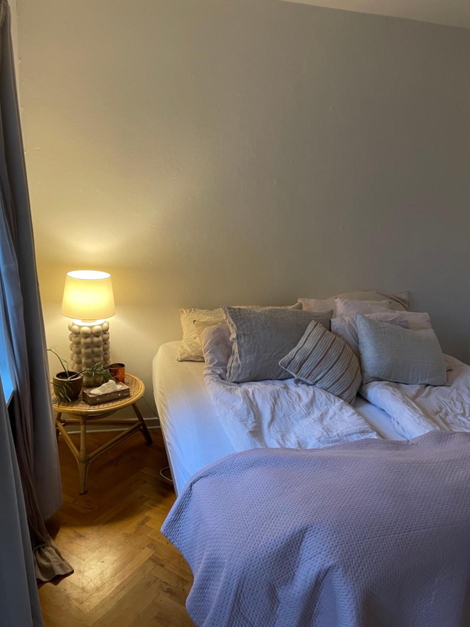 Central Lejlighed Med Udsigt Til Parken 오덴세 외부 사진